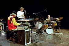 In The Tradition: Alan Silva, Johannes Bauer, Roger Turner