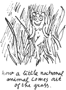 Little Nocturnal Animals