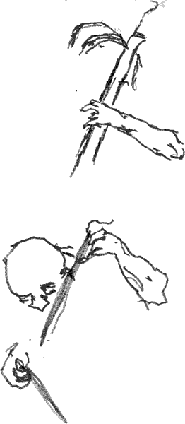 Peter Kowald (arms)